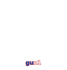 gun1